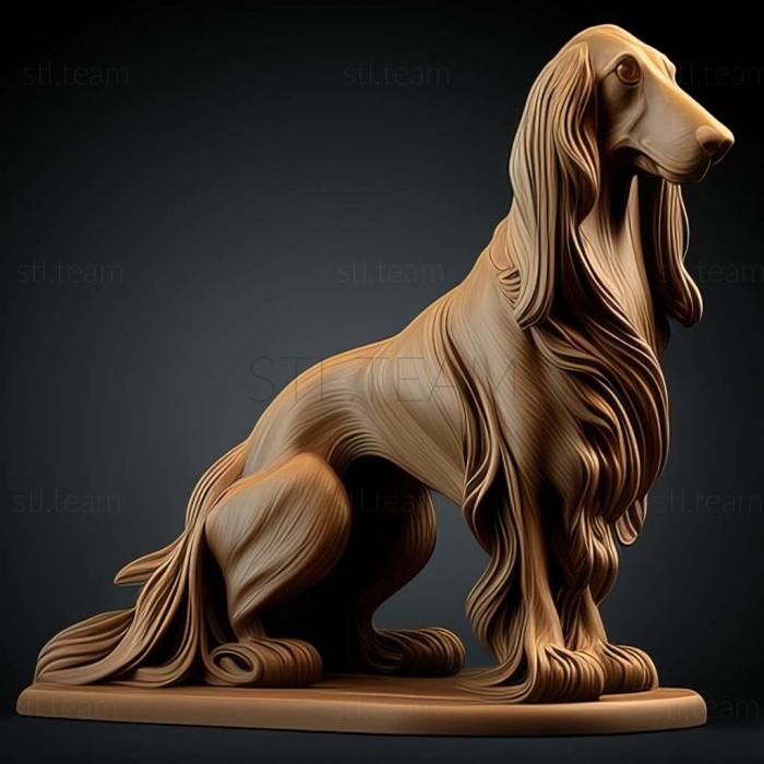 The Afghan Hound dog